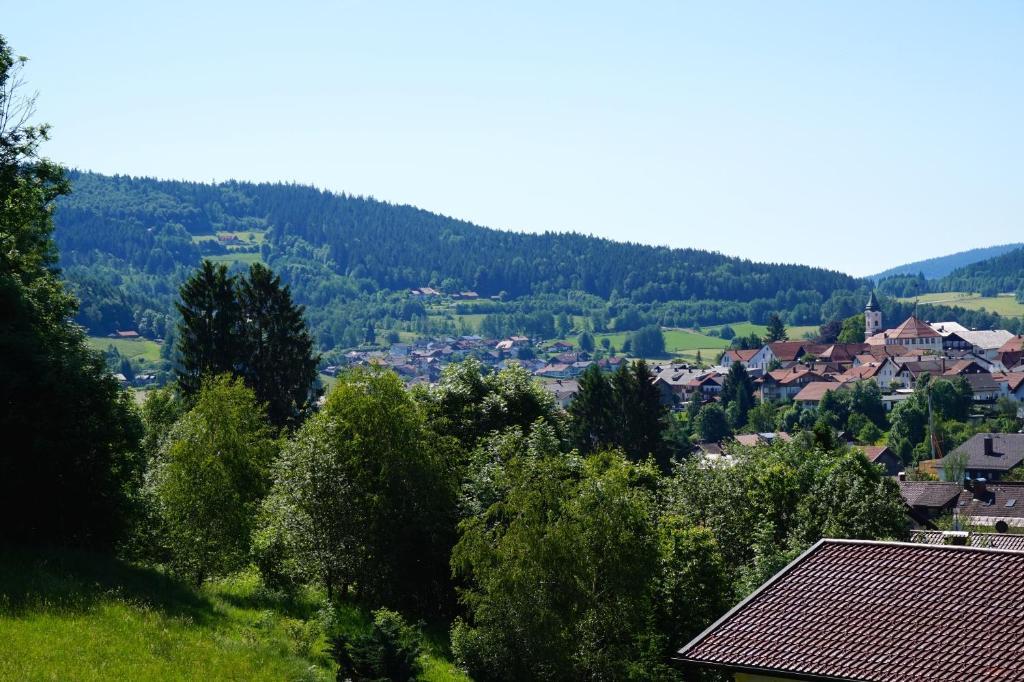 Pension Zur Klause Bodenmais Extérieur photo