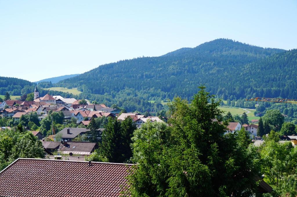 Pension Zur Klause Bodenmais Extérieur photo