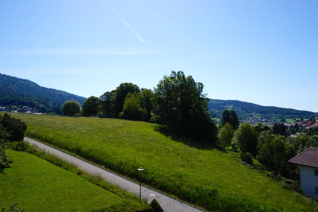 Pension Zur Klause Bodenmais Extérieur photo